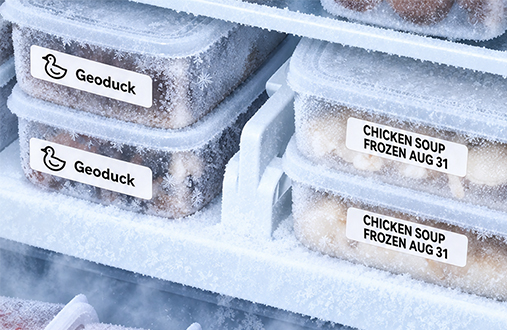 Freezer Storage Labels scene