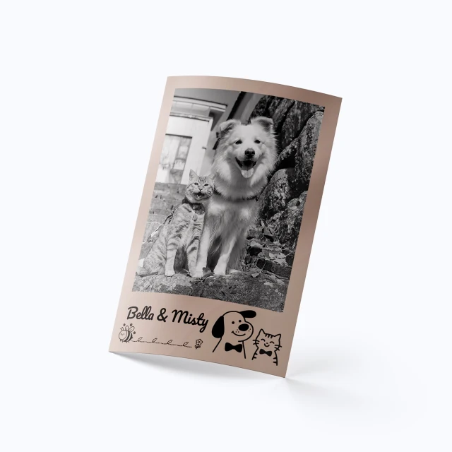 Photo Label consumable