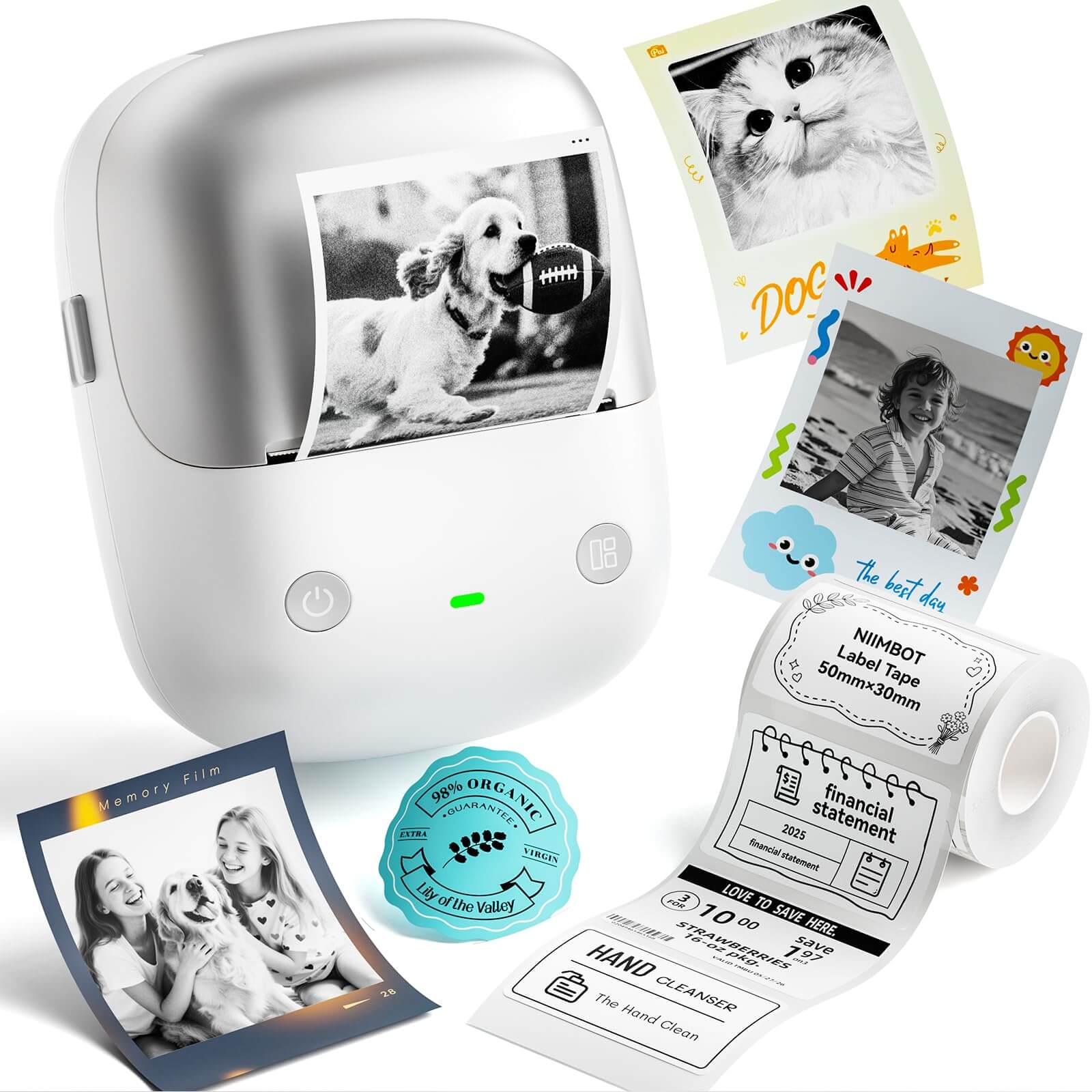 NIIMBOT B2 Pro